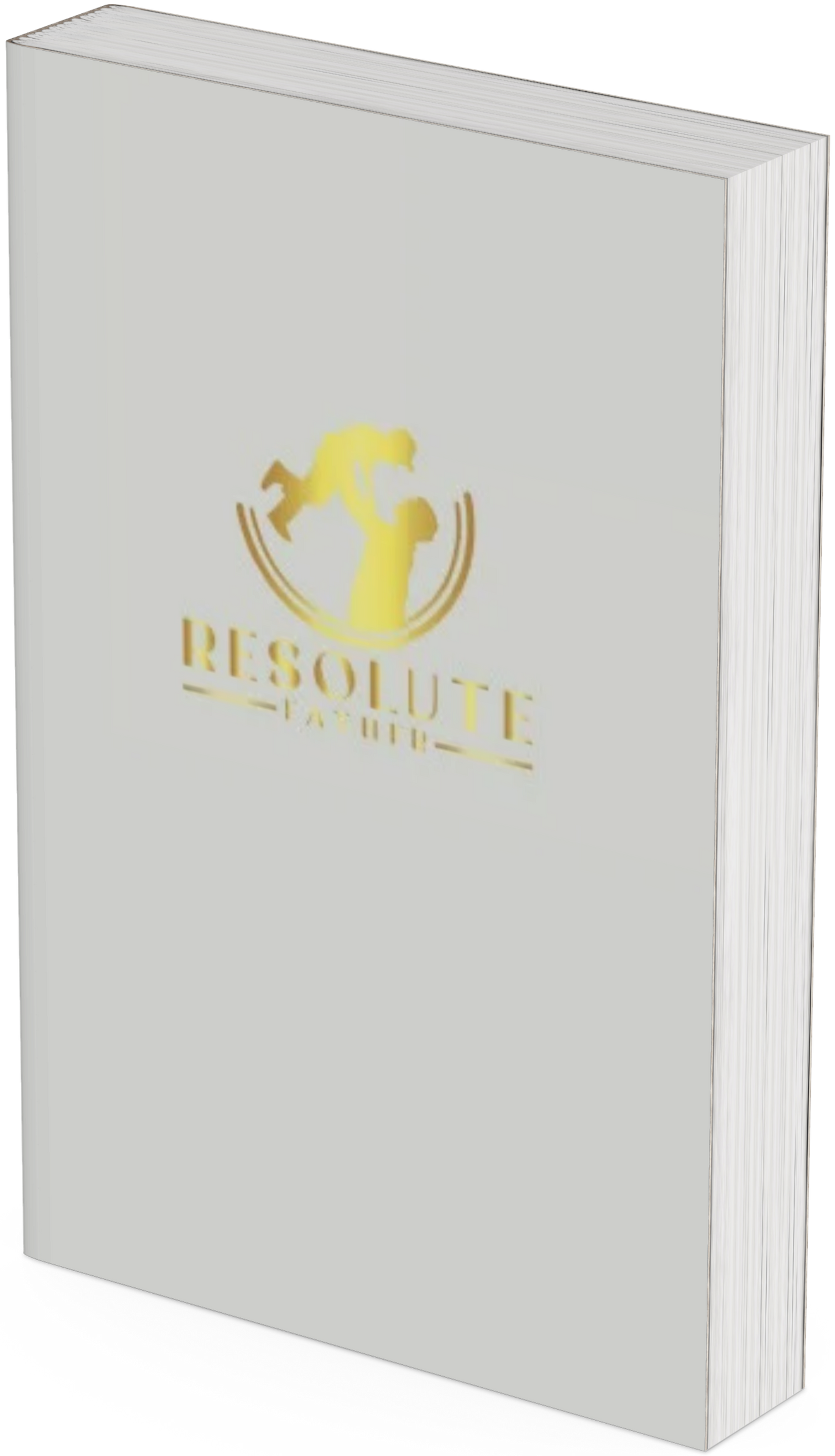 Family Court Preparation Journal