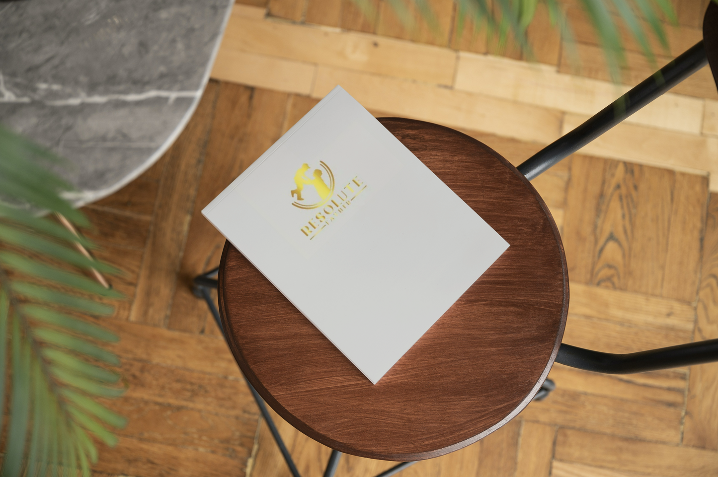 Family Court Preparation Journal