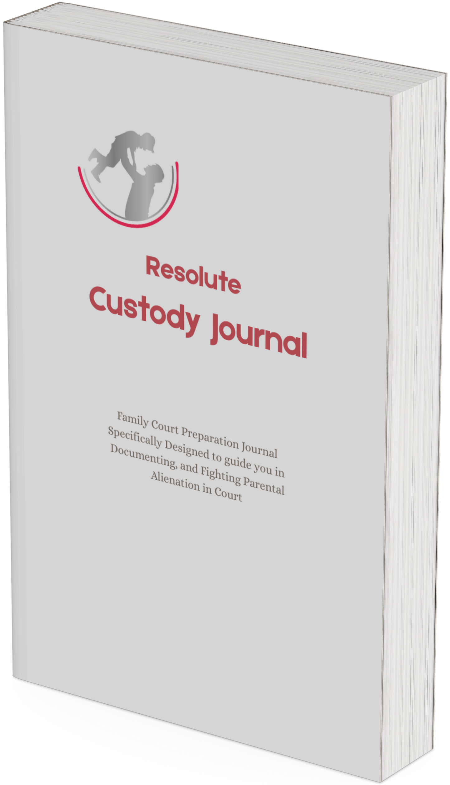 Family court preparation journal